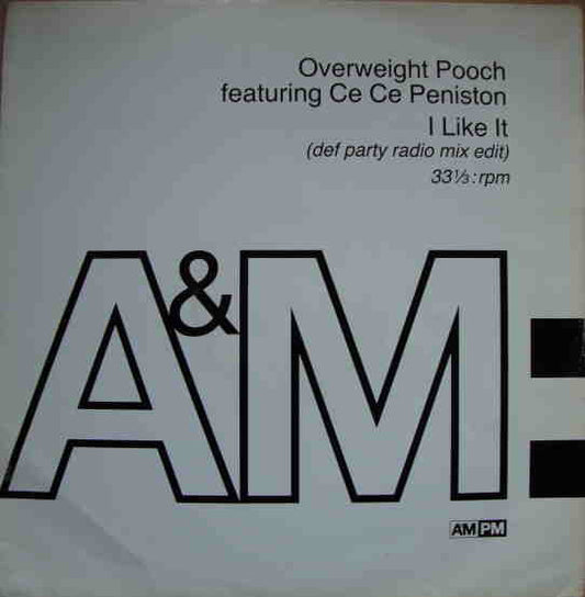 Overweight Pooch - I Like It - Used Vinyl Record 12"