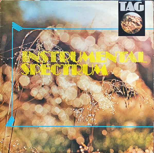 Unknown Artist - Instrumental Spectrum - Used Vinyl Record