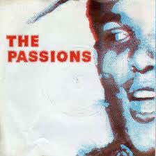 The Passions - Hunted - Used Vinyl Record 7"