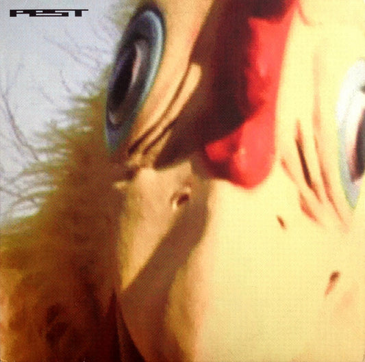 Pest - Chicken Spit - Used Vinyl Record 12"