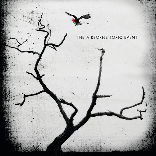Airborne Toxic Event - Used CD