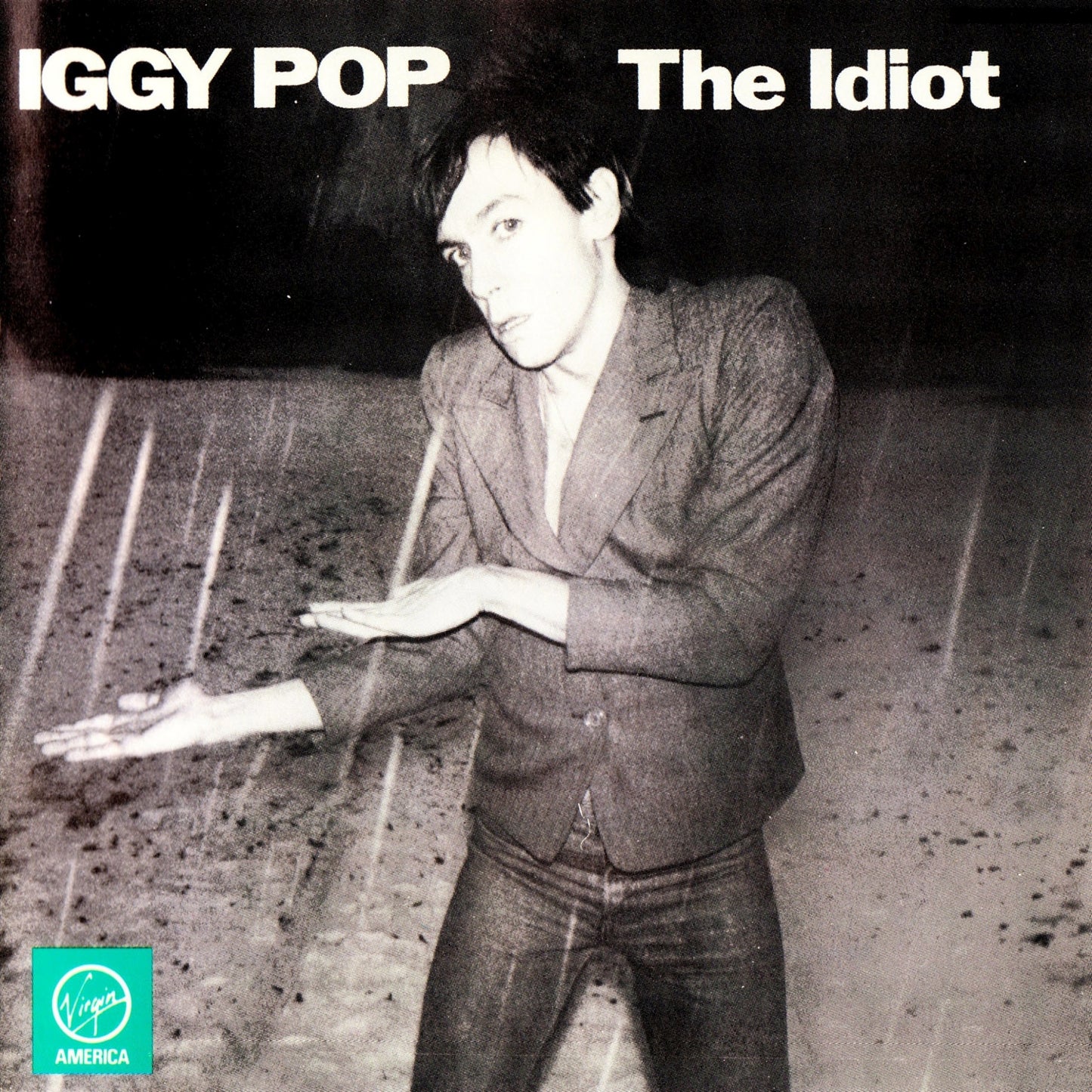 Iggy Pop - The Idiot - Used Vinyl Record