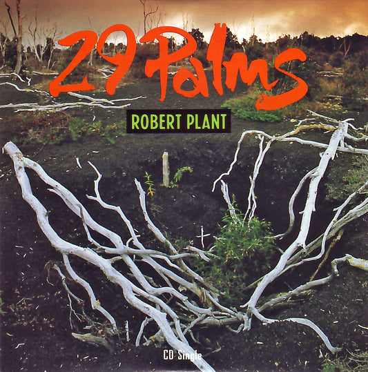 Robert Plant - 29 Palms - Used CD