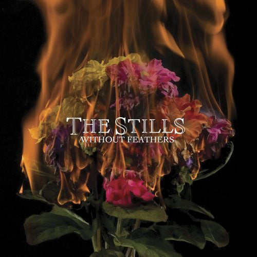 The Stills - Without Feathers - Used CD